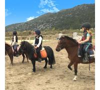 Cap Adrénaline Cours d'équitation près de Marseille