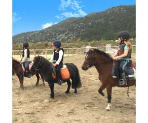 Cap Adrénaline Cours d'équitation près de Marseille