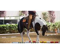 Cap Adrénaline Cours d'équitation Western près de Cergy