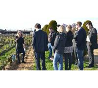 Cap Adrénaline Cours d'Œnologie à Saint-Emilion - Accord vins et chocolats