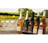 Cap Adrénaline Cours d'œnologie au cœur d'un domaine viticole en Bourgogne près de Macon