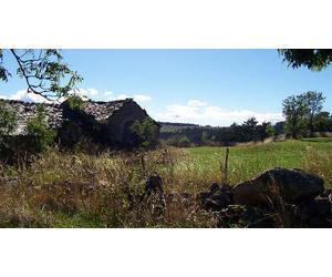 Cap Adrénaline Course d'orientation dans le Parc National des Cévennes