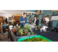 Cap Adrénaline Création d'un terrarium à Dijon