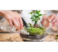 Cap Adrénaline Création d'un terrarium en DUO à Dijon