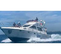 Cap Adrénaline Croisière en bateau privatisée dans le Golfe du Morbihan et la baie de Quiberon