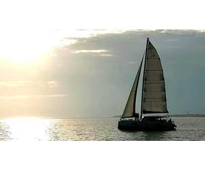Cap Adrénaline Croisière en Catamaran à l'île de ré