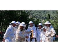 Cap Adrénaline Découverte de l'apiculture près de Marseille