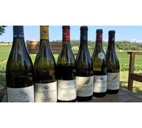 Cap Adrénaline Dégustation au sein d'un domaine viticole près de Chalon-sur-Saône