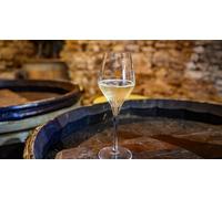 Cap Adrénaline Dégustation de Deux cuvées de Champagne au cœur d'un domaine à Ay près d'Épernay