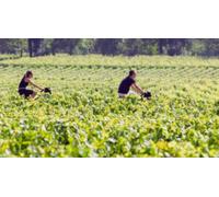 Cap Adrénaline Dégustation de vin et visite des vignobles près de Bordeaux