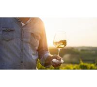 Cap Adrénaline Dégustation de vins au cœur d'un domaine viticole près de Sancerre