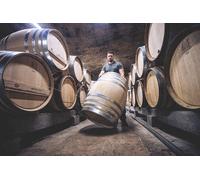 Cap Adrénaline Dégustation de vins au sein d'un domaine à Bouzeron près de Chalon sur Saône