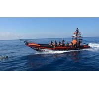 Cap Adrénaline Demi-journée de nage à proximité des animaux marins et observation des dauphins à Cannes