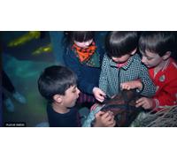 Cap Adrénaline Escape game pour enfant à Paris 11e - boulevard Voltaire