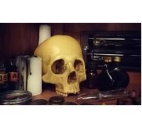 Cap Adrénaline Escape game Terreur 'Dracula' à Paris (3ème)
