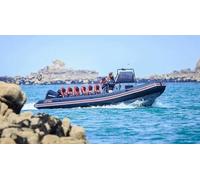 Cap Adrénaline Excursion en bateau dans la baie de Morlaix depuis Roscoff dans le Finistère