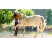 Cap Adrénaline Formation au développement personnel à travers le cheval près de Chantilly