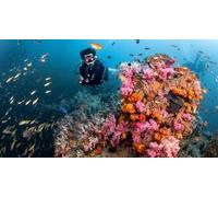 Cap Adrénaline Initiation à la plongée sous-marine dans le golfe d'Ajaccio