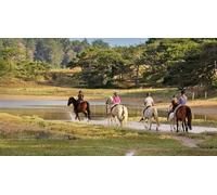 Cap Adrénaline Journée randonnée à Cheval près d'Erquy