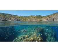 Cap Adrénaline Journée snorkeling et baptême de plongée près de Perpignan