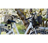 Cap Adrénaline Location de Vélos Electrique à Bonnieux