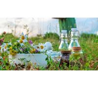 Cap Adrénaline Naturopathie et psychogénéalogie à Bossée près de Tours