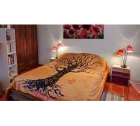 Cap Adrénaline Nuit en chambre d'hôtes à Lauris près d'Aix-en-Provence