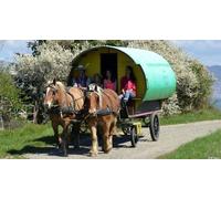 Cap Adrénaline Nuit insolite dans une roulotte à le Poët-Célard et balade en Calèche autour du massif du Couspeau