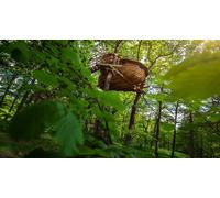 Cap Adrénaline Nuit Insolite en cabane à Vittel près de Contrexéville