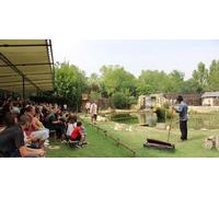 Cap Adrénaline Parc à thème et ferme pédagogique immersifs du 20e siècle près d'Arles