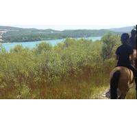 Cap Adrénaline Randonnée à Cheval à Manosque