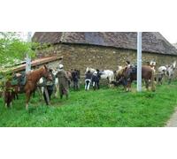 Cap Adrénaline Randonnée à cheval d'une journée près de Limoges
