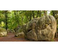 Cap Adrénaline Randonnée accompagnée 2 jours à Fontainebleau