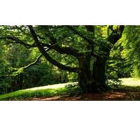 Cap Adrénaline Randonnée accompagnée aux portes de Morvan