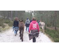 Cap Adrénaline Randonnée avec des ânes dans la forêt de Fontainebleau - 2 h pour 2 personnes