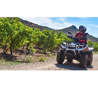 Cap Adrénaline Randonnée dégustation et œnologie en quad à Lacoste près de Montpellier