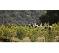 Cap Adrénaline Randonnée et dégustation de vin près de Perpignan
