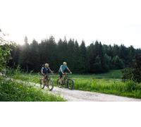 Cap Adrénaline Randonnée privatisée en VTT électrique dans les Bauges près d'Aix-les-Bains