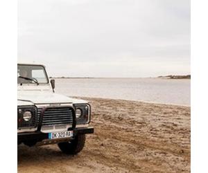 Cap Adrénaline Safari en 4x4 à Arles à la découverte de la Camargue