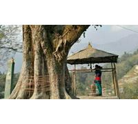 Cap Adrénaline Séjour atypique à la maison des Oiseaux près de Bruxelles