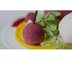 Cap Adrénaline Séjour gourmand en hôtel 4* près de Nîmes