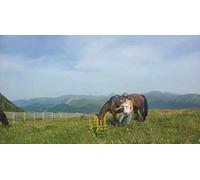 Cap Adrénaline Séjour Randonnée équestre dans les Monts du Cantal