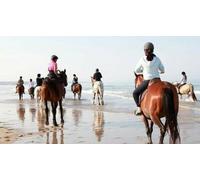 Cap Adrénaline Séjour randonnée équestre près de Soulac-sur-Mer