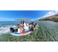Cap Adrénaline Snorkeling à la découverte des cétacés et animaux marins à La Réunion à Saint-Leu