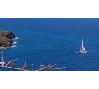 Cap Adrénaline Sortie en mer en catamaran près de Saint Tropez