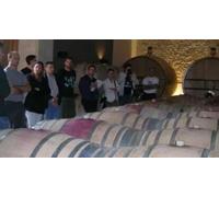 Cap Adrénaline Stage d'œnologie à Clermont l'Hérault