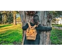 Cap Adrénaline Sylvothérapie ou aromathérapie près de Frontignan