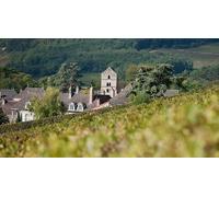 Cap Adrénaline Visite commentée des vignes et dégustation à Rully