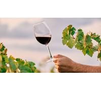 Cap Adrénaline Visite de cave et dégustation de vins à Veyre-Monton près de Clermont-Ferrand