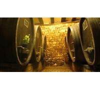 Cap Adrénaline Visite de cave et dégustation de vins alsaciens à Eguisheim près de Colmar